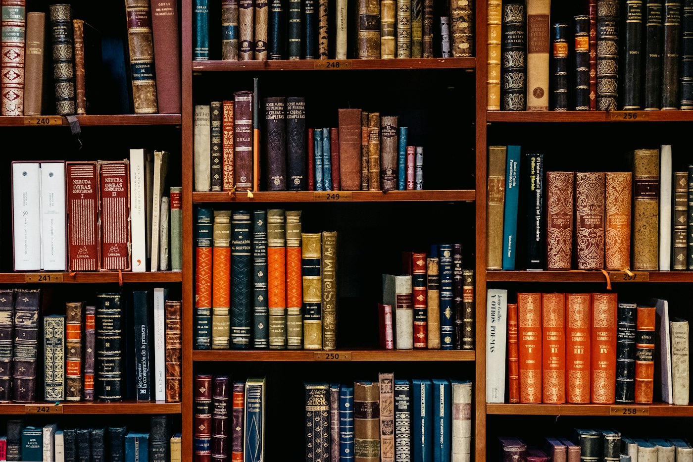 Shelves of leather-bound books